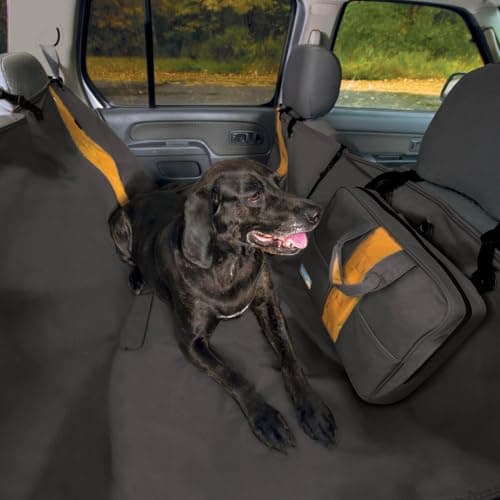 The Best Gifts for Road-Trip Dog Owners