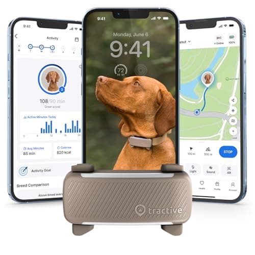 The Best Dog Travel Gifts Under $150