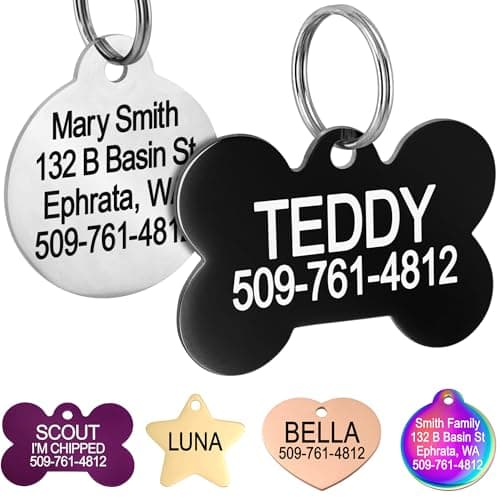 GoTags Personalized Stainless Steel Dog Tag
